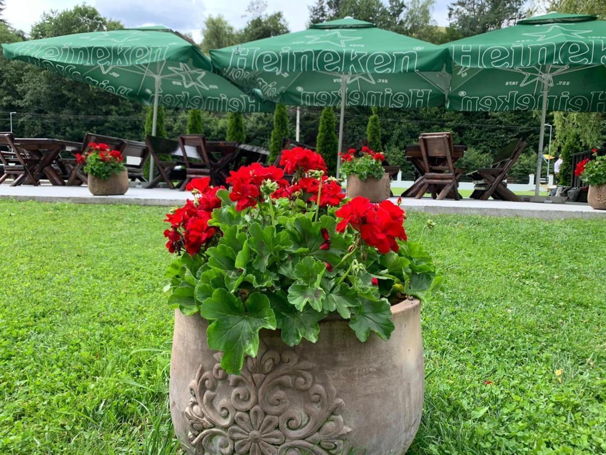 Poiana Mărului Flori De Mar酒店 外观 照片